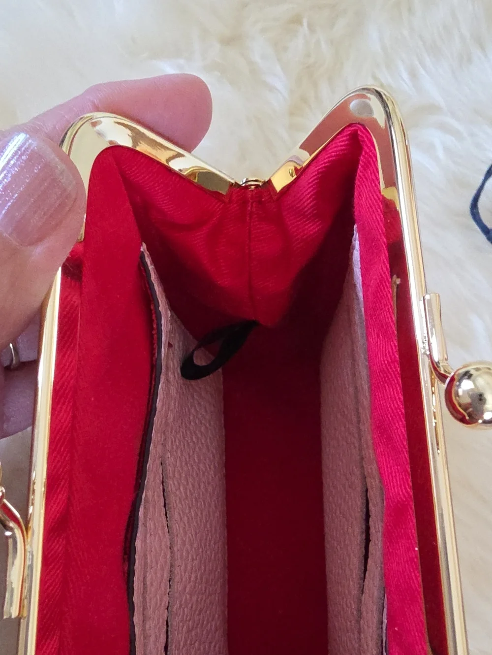NWT Dooney & Bourke Pink Blush Leather Large Kiss-Lock Framed Purse 🩷💋🎁